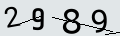 verifycode
